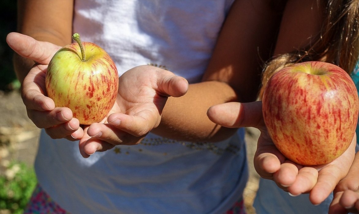 zwei Kinder, die je einen Apfel in der Hand halten