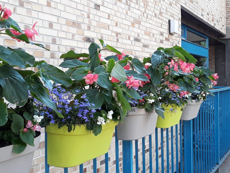 Blumen in bunten Blumentöpfen, die an einem blauen Zaun hängen